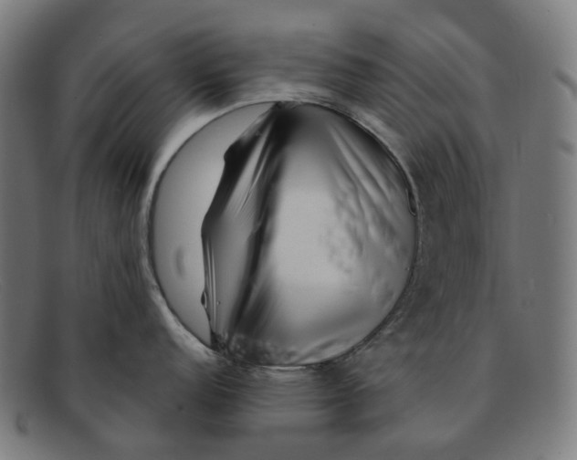 X0000091471152200709131748