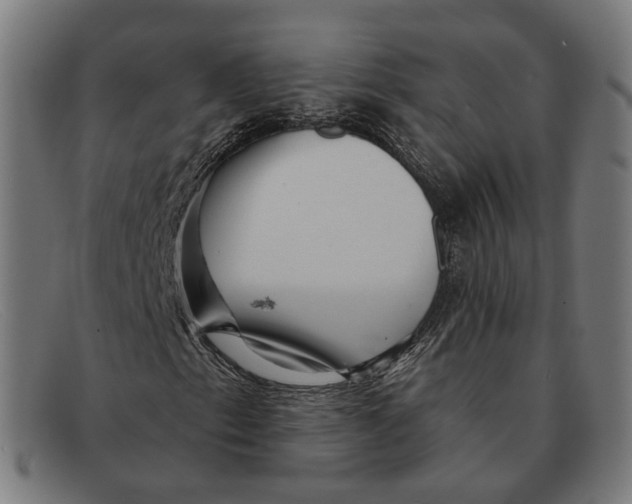 X0000091471153200709131747