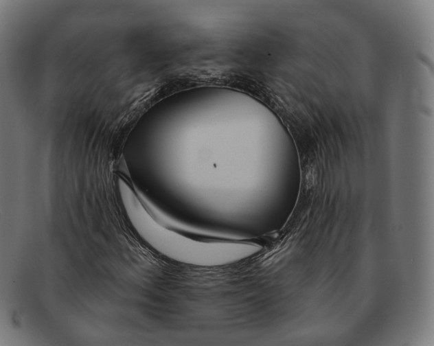 X0000091471156200709131747