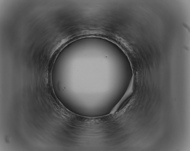 X0000091471165200709131747