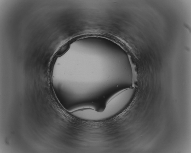 X0000091471168200709131747