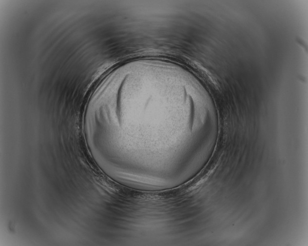 X0000091471170200709131747