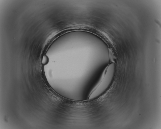 X0000091471172200709131747