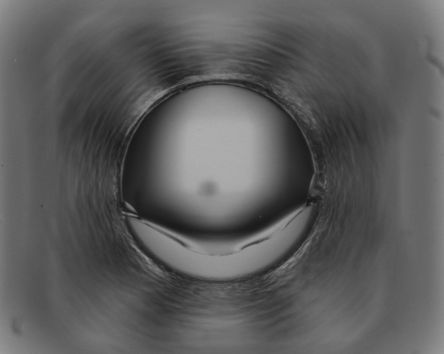 X0000091471177200709131747