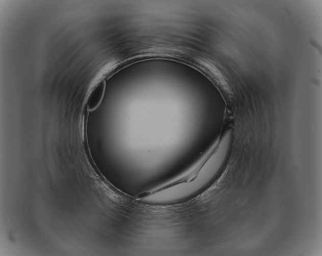 X0000091471180200709131747