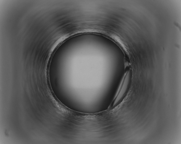 X0000091471181200709131747