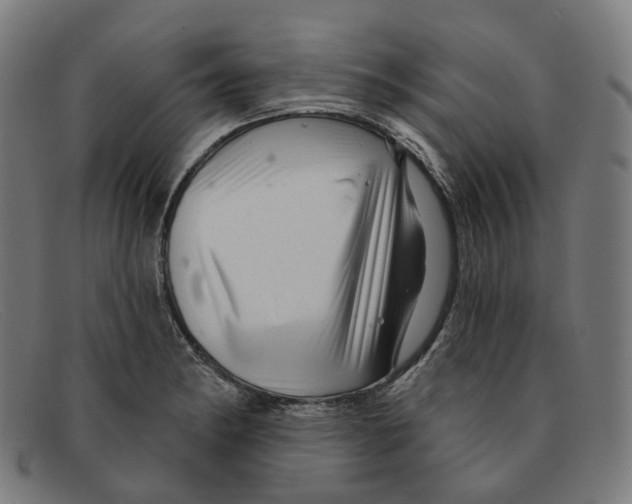 X0000091471182200709131747