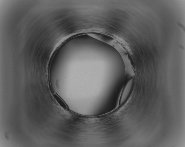 X0000091471184200709131747