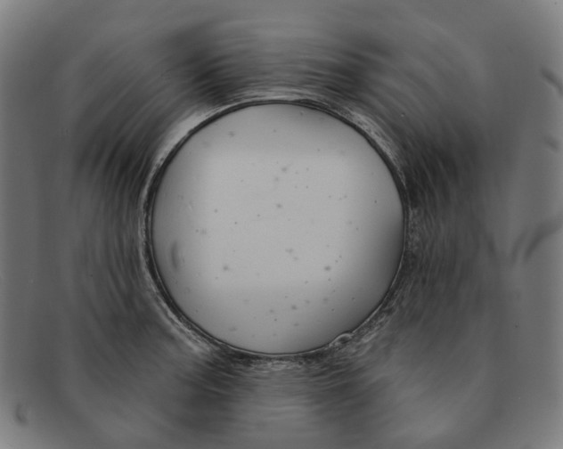 X0000091471187200709131747