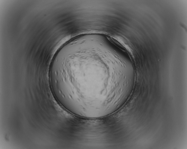 X0000091471189200709131747