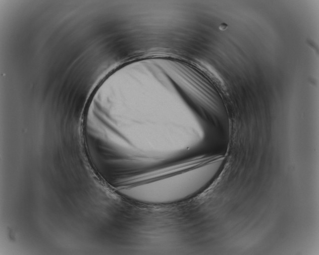 X0000091471190200709131747