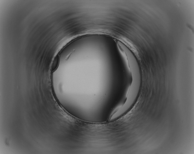 X0000091471192200709131747