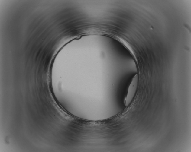 X0000091471195200709131746