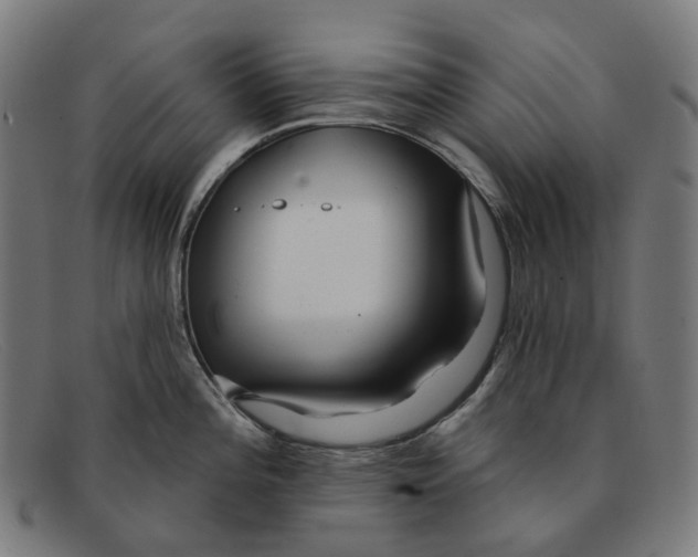 X0000091471196200709131746