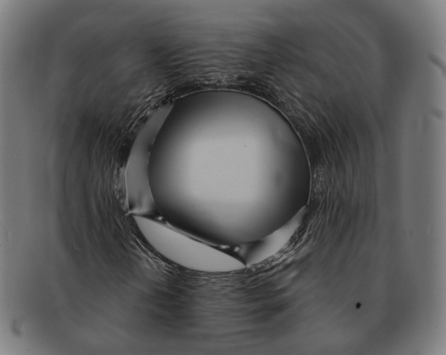 X0000091471202200709131746