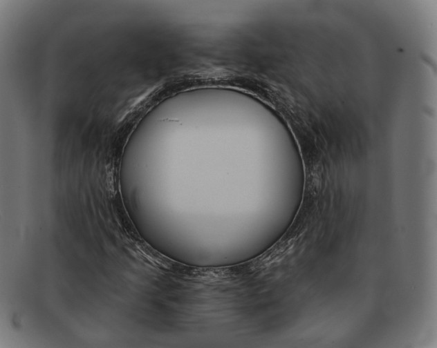 X0000091471205200709131746