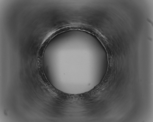 X0000091471208200709131746