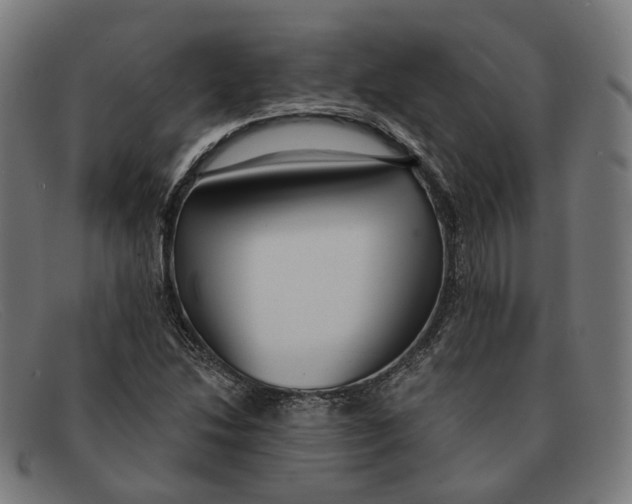 X0000091471214200709131746