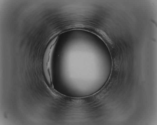 X0000091471225200709131746