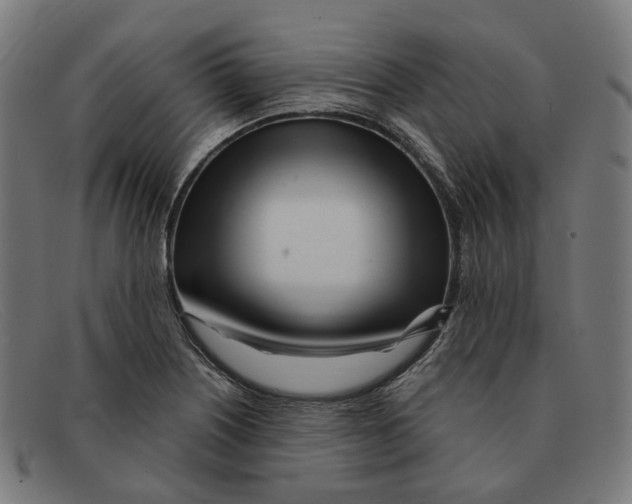 X0000091471226200709131746