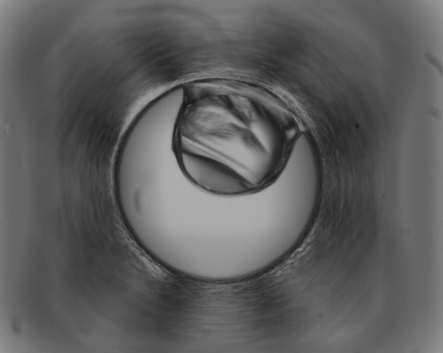 X0000091471230200709131746