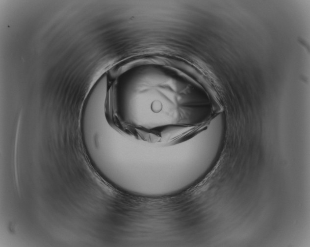 X0000091471234200709131746