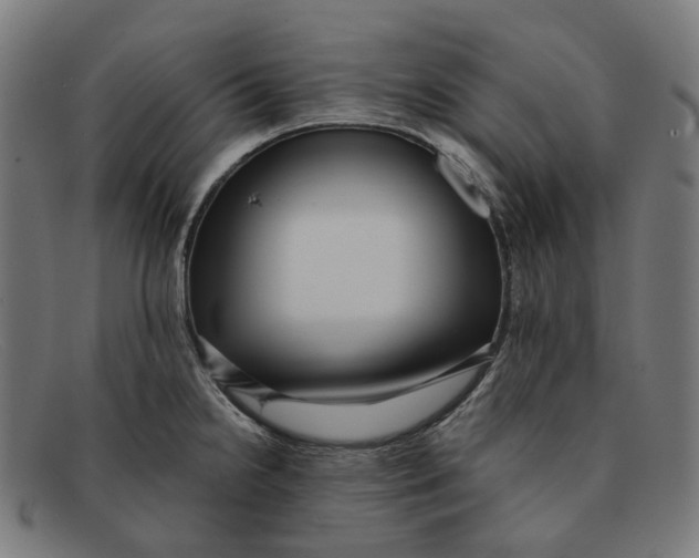 X0000091471238200709131746