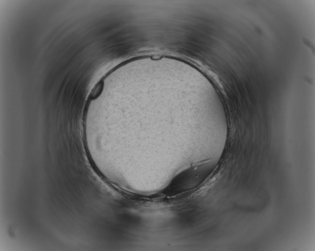 X0000091471239200709131746