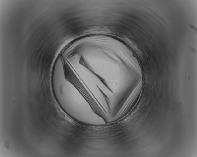 X0000091471240200709131746