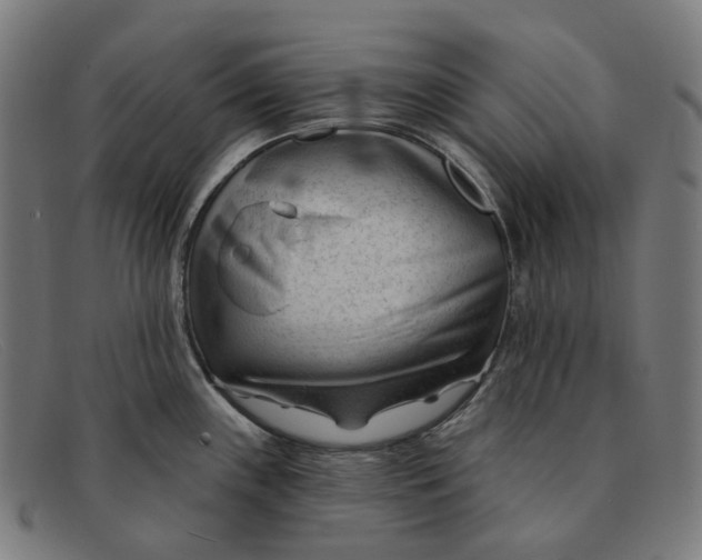 X0000091471243200709131746