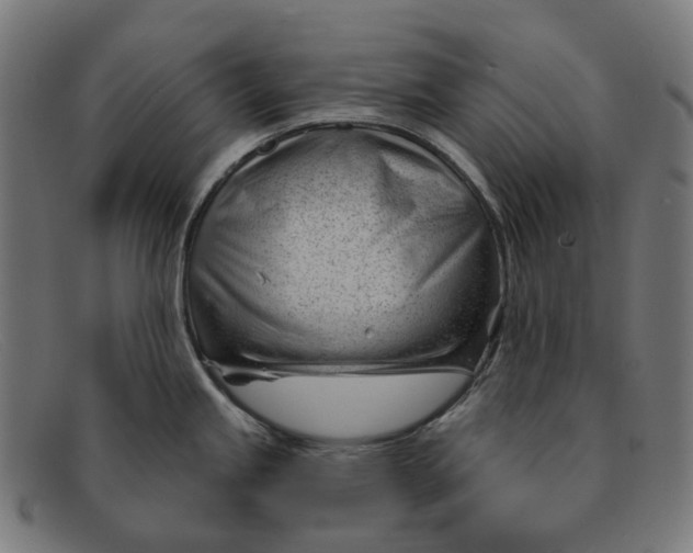 X0000091471245200709131746