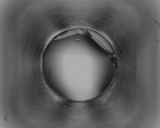 X0000091471246200709131746