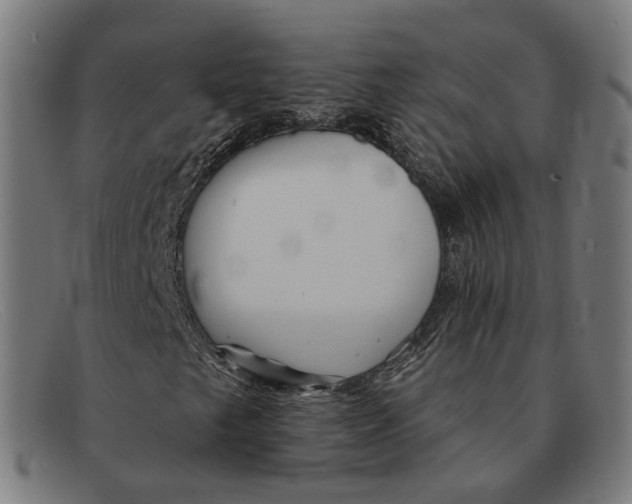 X0000091471249200709131746