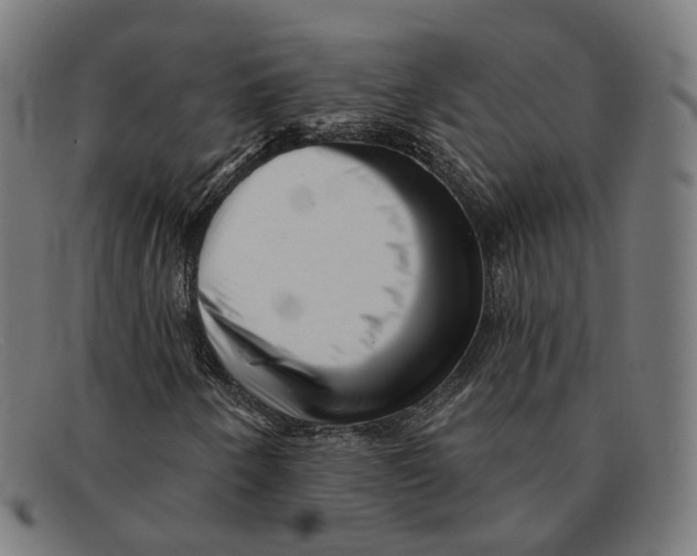 X0000091471250200709131746