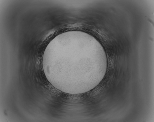 X0000091471254200709131746