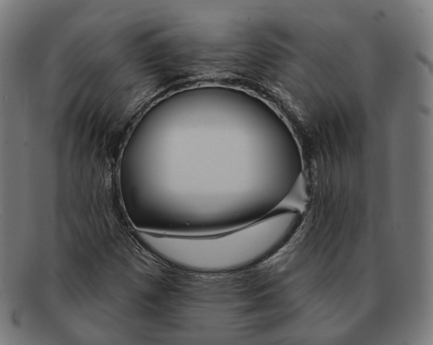 X0000091471257200709131746