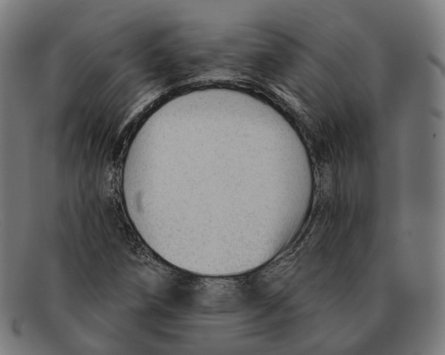 X0000091471258200709131746