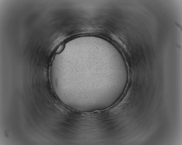 X0000091471259200709131746