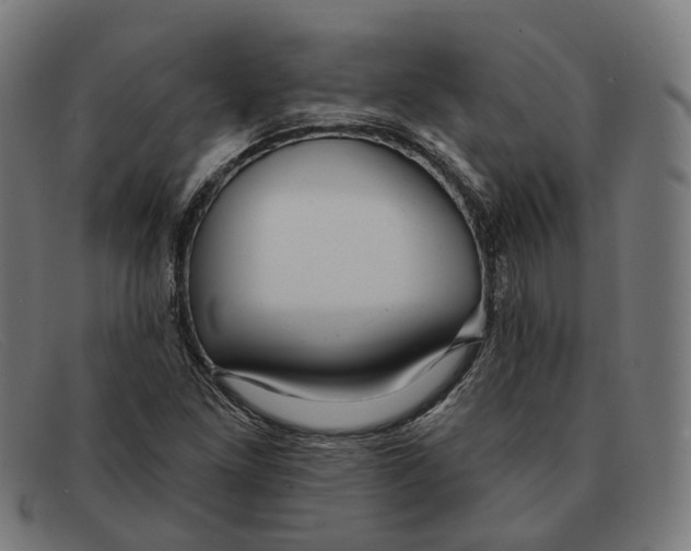 X0000091471261200709131746