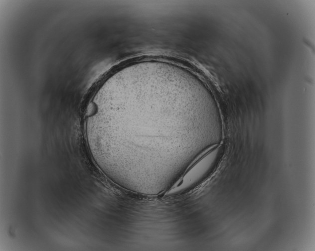 X0000091471263200709131745