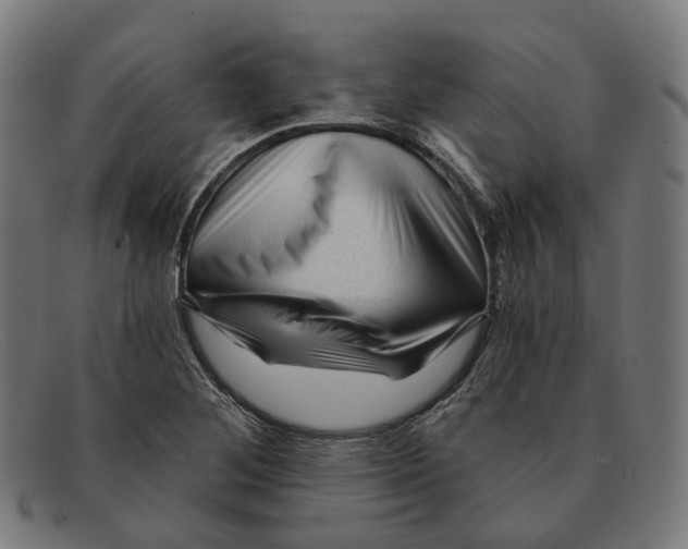 X0000091471268200709131745