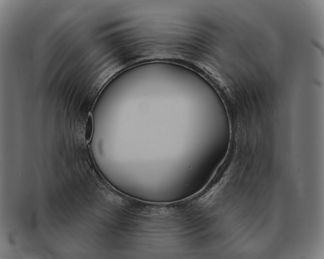 X0000091471273200709131745