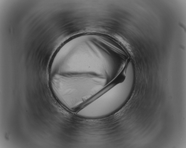 X0000091471280200709131745