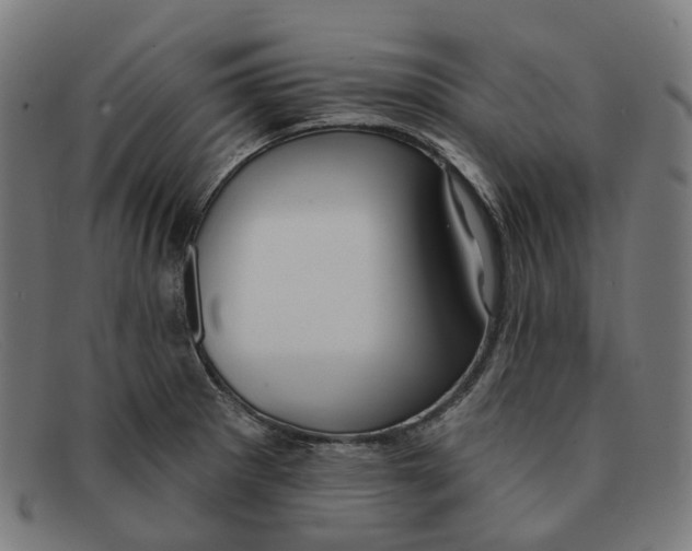 X0000091471281200709131745