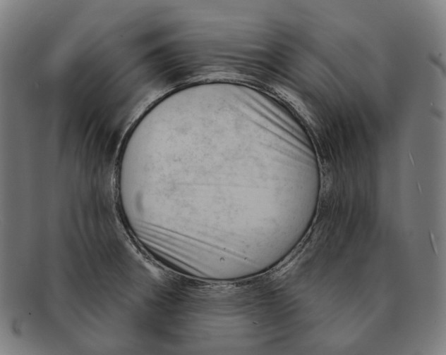 X0000091471282200709131745