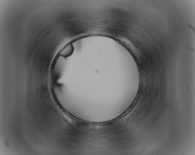 X0000091471286200709131745