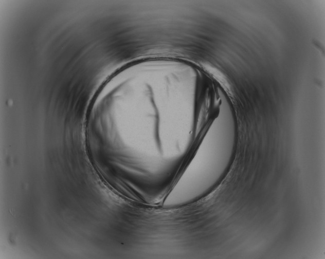 X0000091471288200709131745