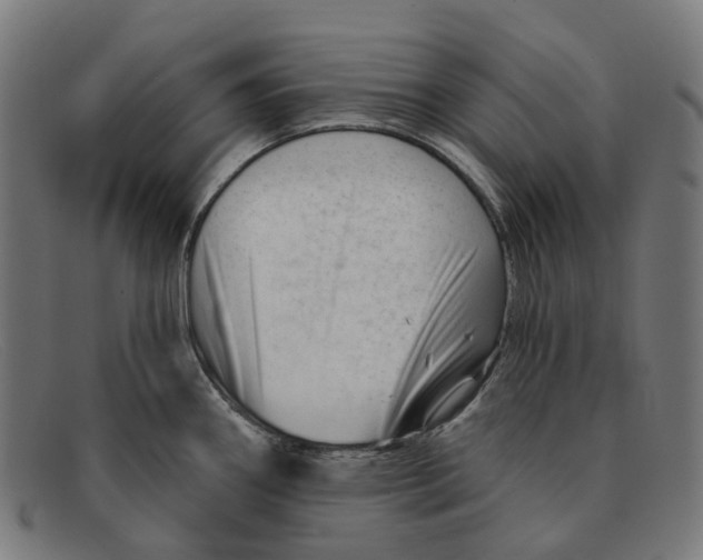 X0000091471290200709131745