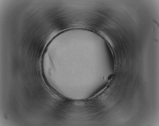 X0000091471291200709131745