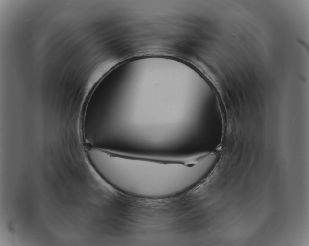 X0000091471293200709131745